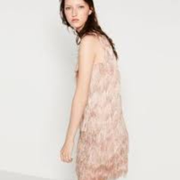 Zara pink blush fringe dress - Picture 2 of 5